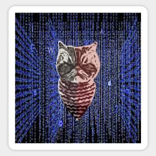 Hacker Cat Cyber Security Classic Sticker